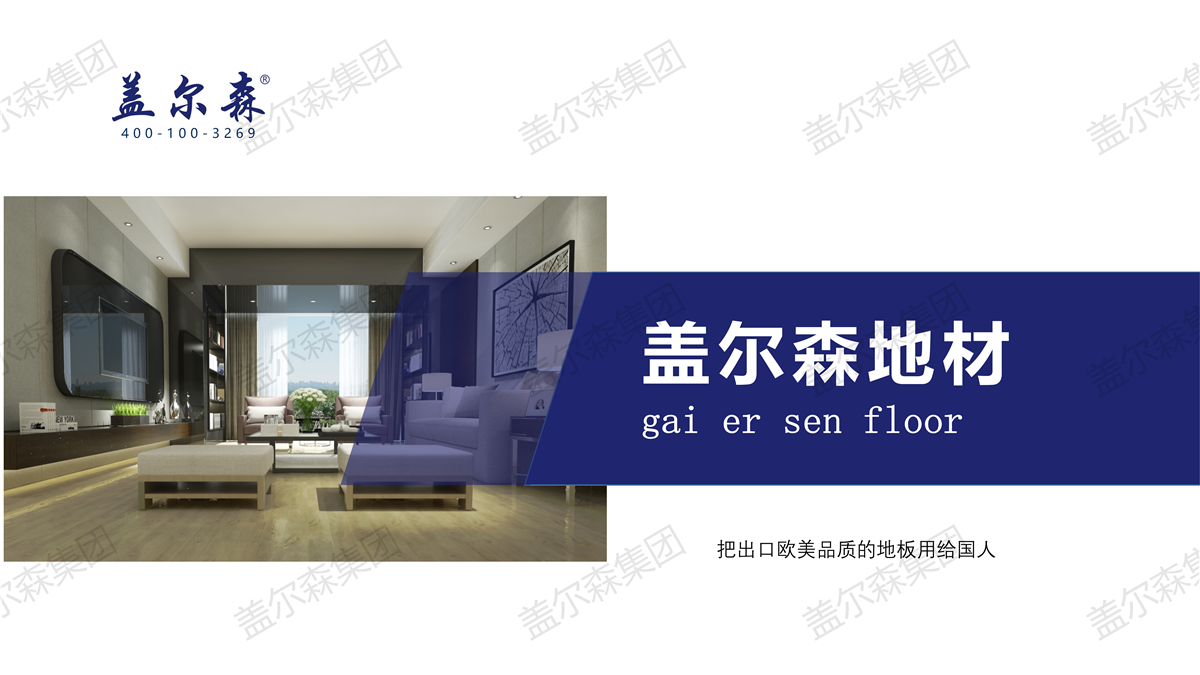 盖尔森地材公司及产品简介（2020年）_01.png